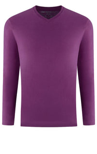 Georg Roth Los Angeles - Luxury V-Neck Long Sleeves Pima Cotton Mens T-shirt Berrie TVLS-30131